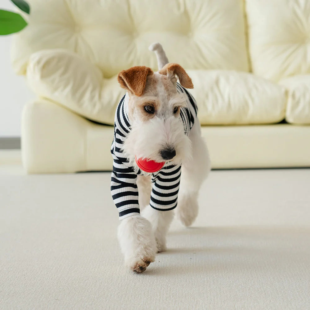 Le Tee Long - Black & White