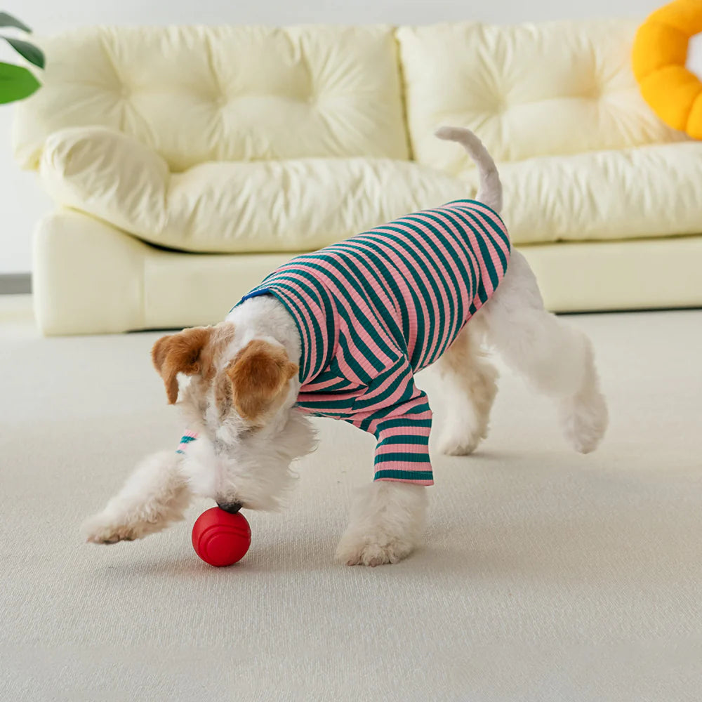 Le Tee Long - Pink & Green