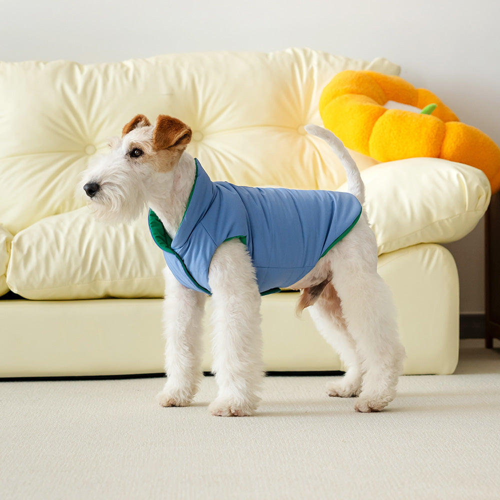 Le Puffer - Blue & Green