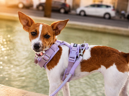 Lilac Adjustable No-Pull Dog Harness