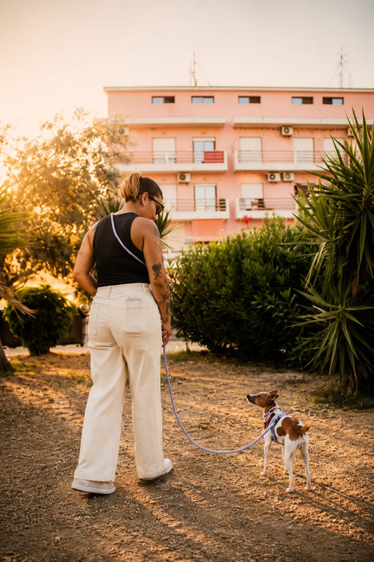 Lilac Hands-Free Adjustable Dog Leash