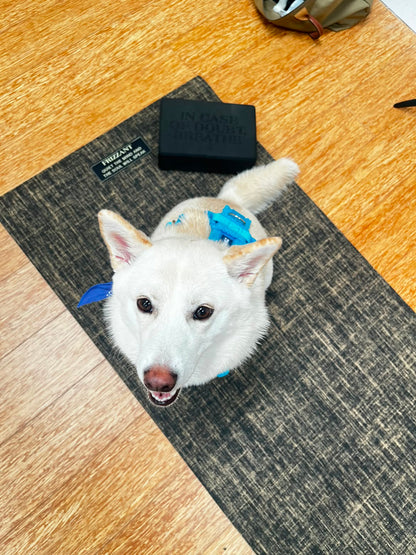 Blue Sherpa Adjustable Dog Harness