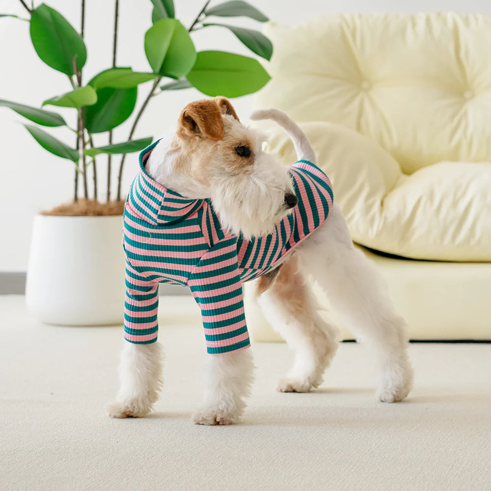 Le Tee Long - Pink & Green