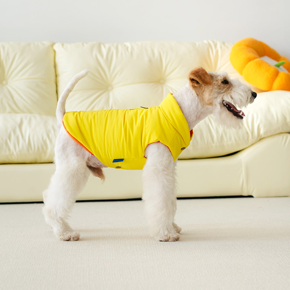 Le Puffer - Orange & Yellow