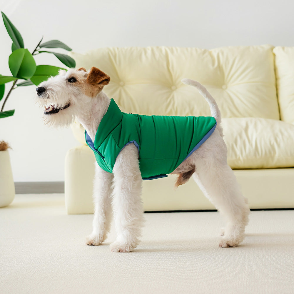 Le Puffer – Blue & Green