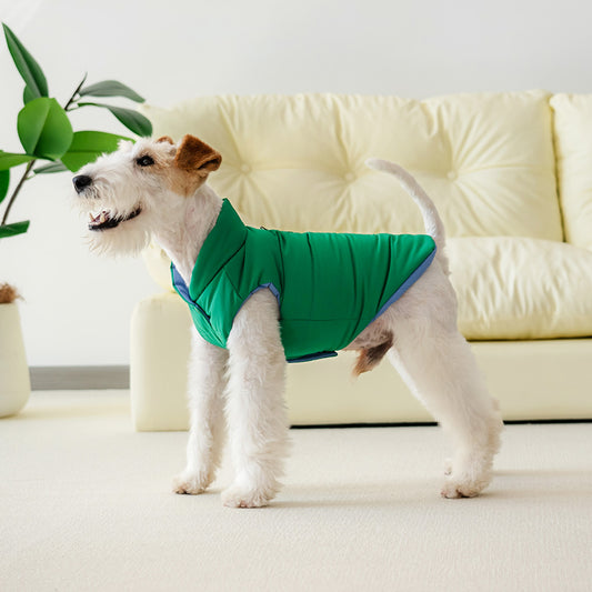 Le Puffer - Blue & Green