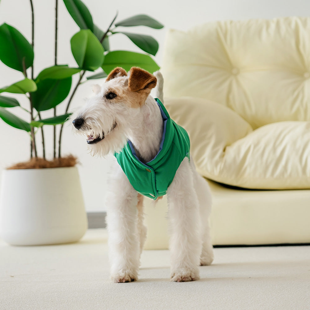 Le Puffer – Blue & Green