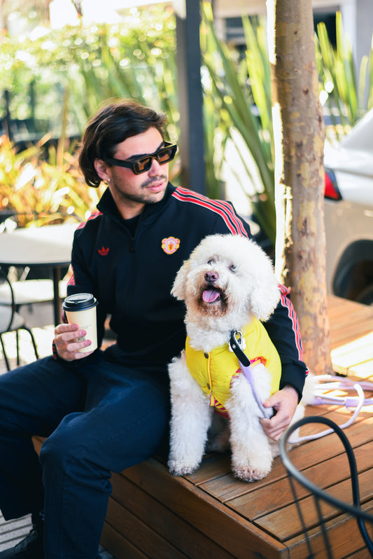Le Puffer – Yellow & Orange