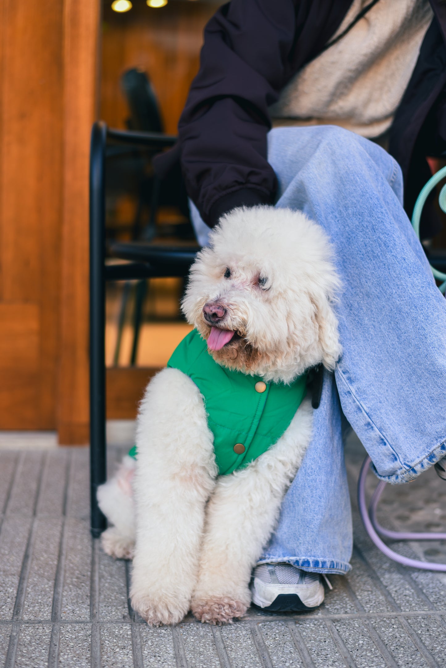 Le Puffer - Blue & Green