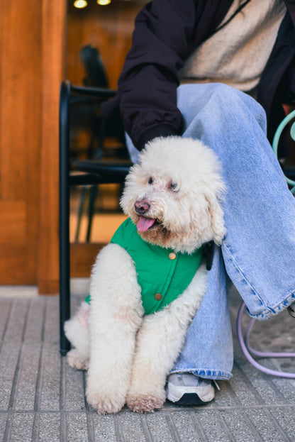 Le Puffer - Blue & Green