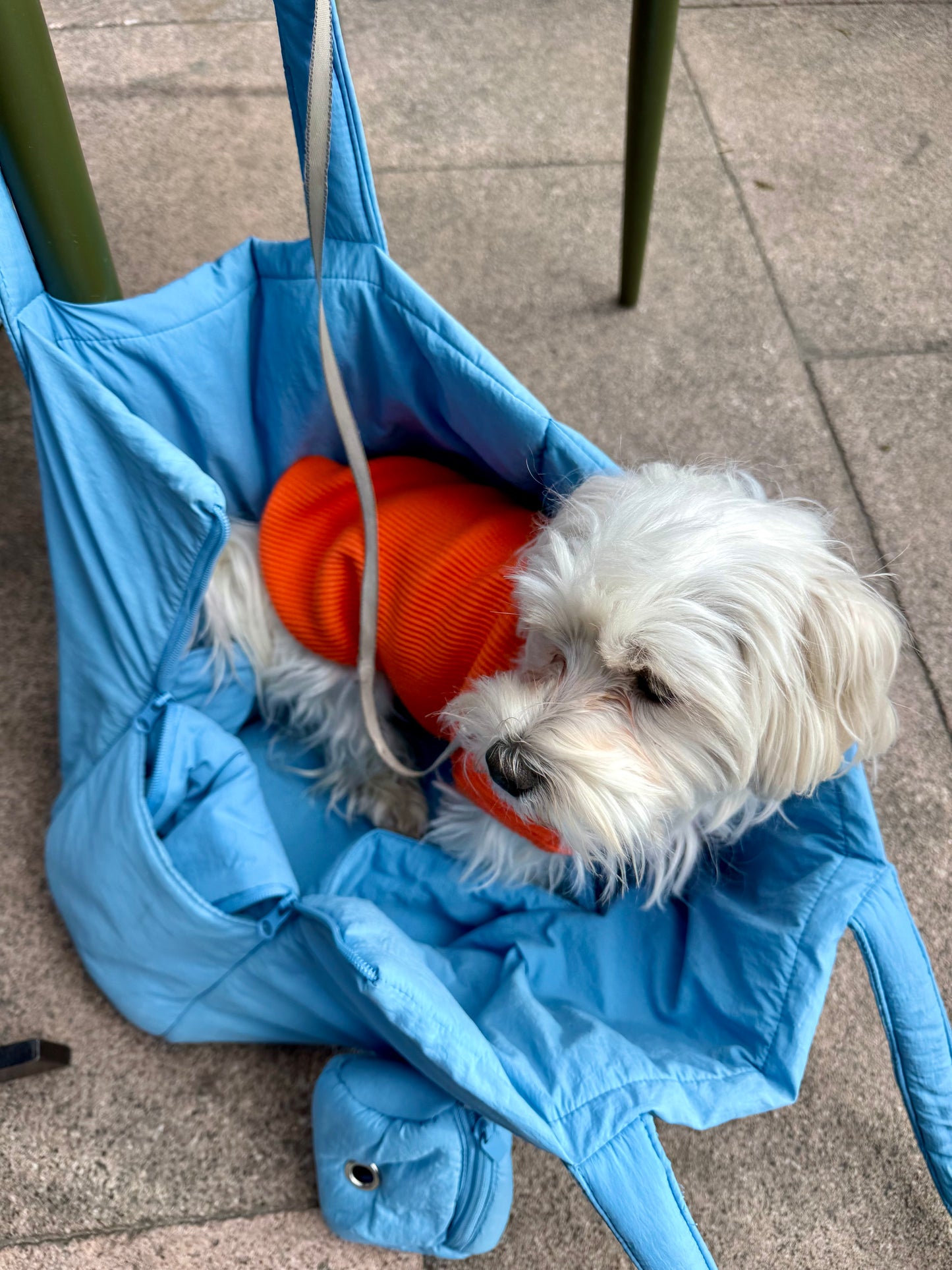 Petit Tee - Orange