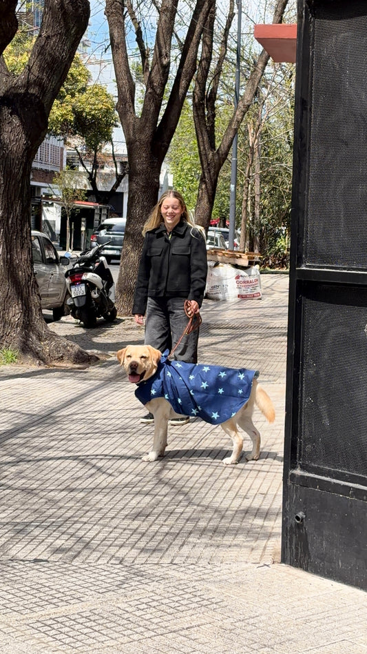 The blue stars raincoat