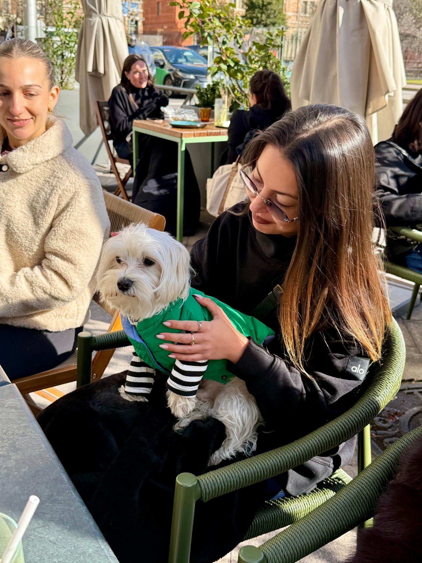 Le Puffer - Blue & Green