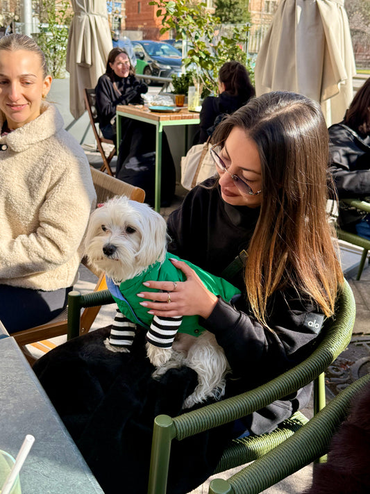 Le Puffer - Blue & Green