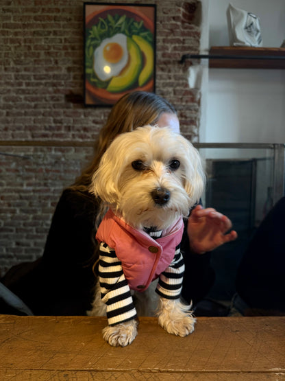 Le Puffer - Pink & Pink