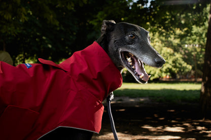 Red on red raincoat