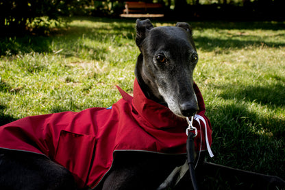 Red on red raincoat