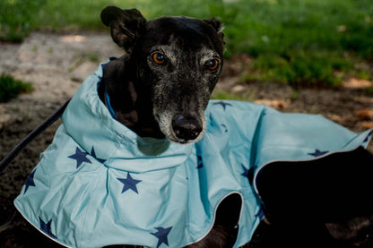 The blue stars raincoat