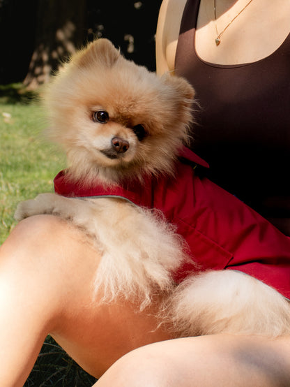 Red on red raincoat