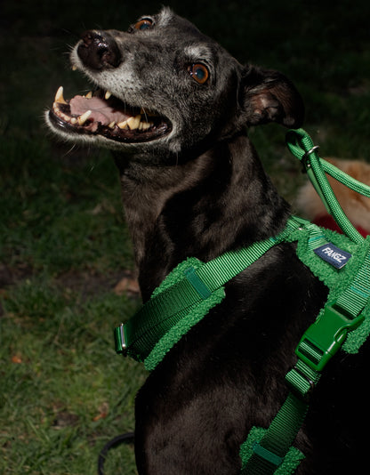 Green Adjustable No-Pull Dog Harness & Hands-Free Leash Set