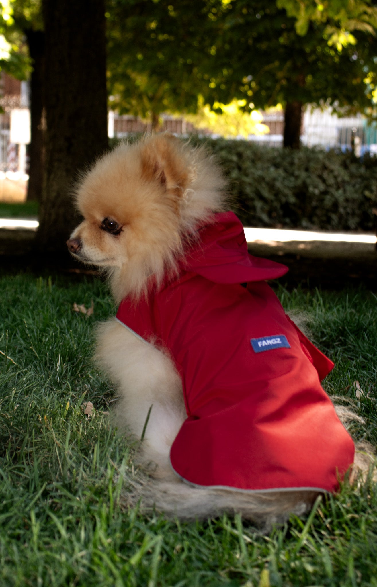 Red on red raincoat