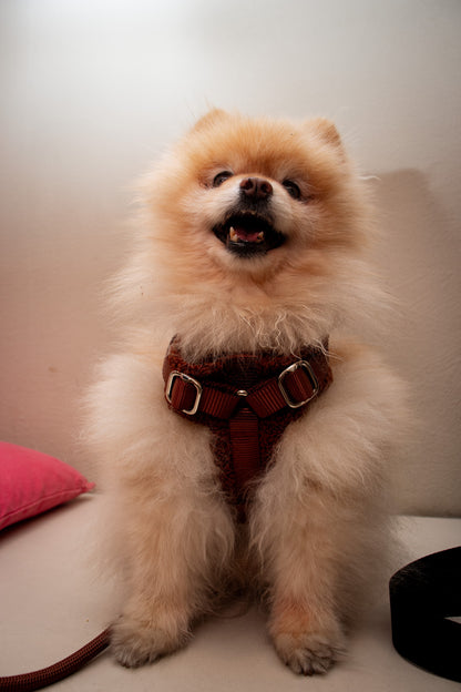 Brown Adjustable No-Pull Dog Harness & Hands-Free Leash Set