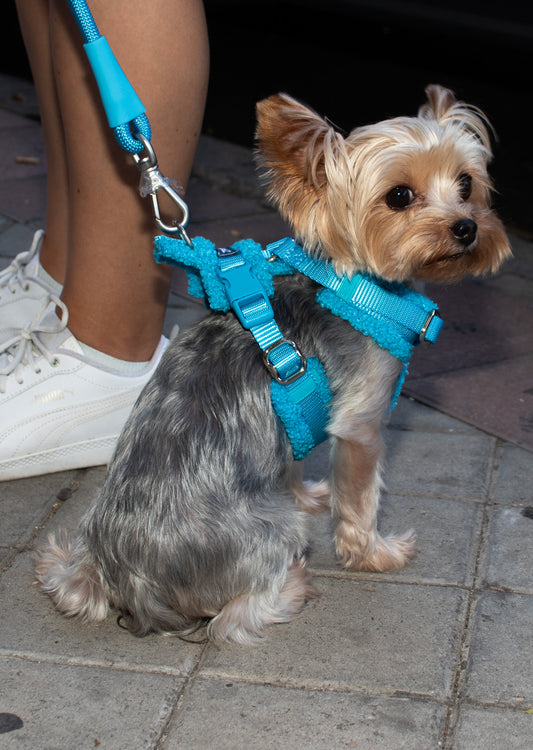 Blue Adjustable No-Pull Dog Harness & Hands-Free Leash Set
