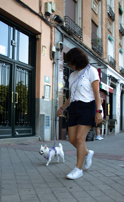 Lilac Adjustable No-Pull Dog Harness & Hands-Free Leash Set