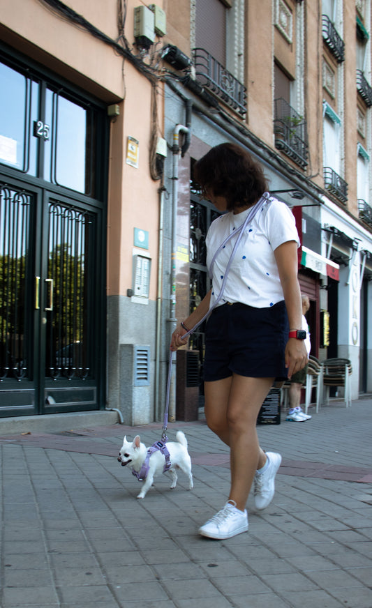 Lilac Adjustable No-Pull Dog Harness & Hands-Free Leash Set