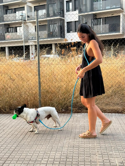 Blue Hands-Free Adjustable Dog Leash