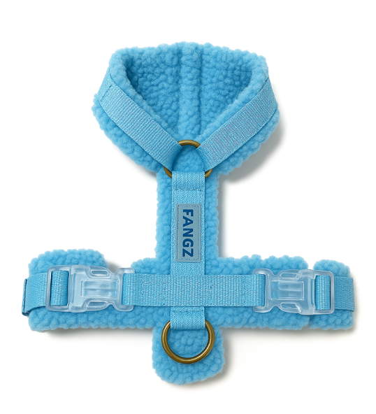 Walk This Way - Blue