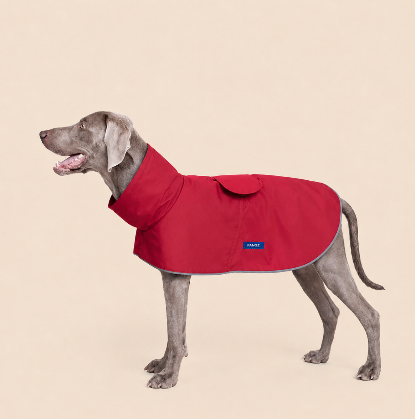 Red on red raincoat