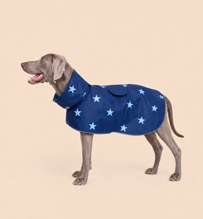 The blue stars raincoat