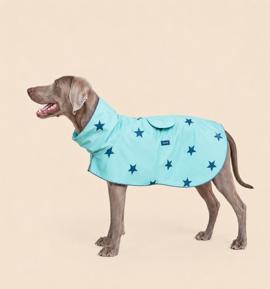 The blue stars raincoat