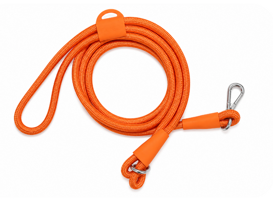 Orange Hands-Free Adjustable Dog Leash