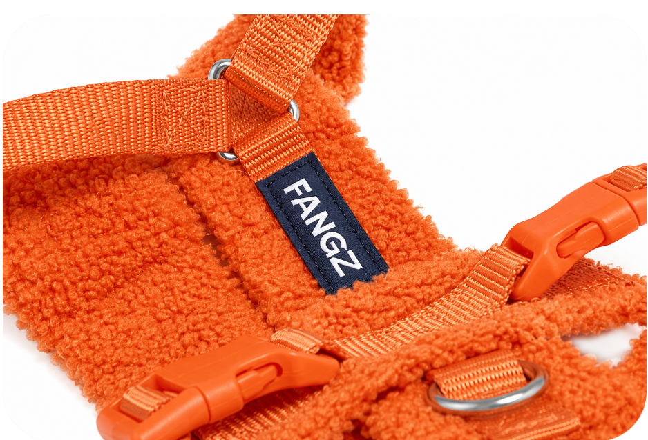 Orange Adjustable No-Pull Dog Harness & Hands-Free Leash Set