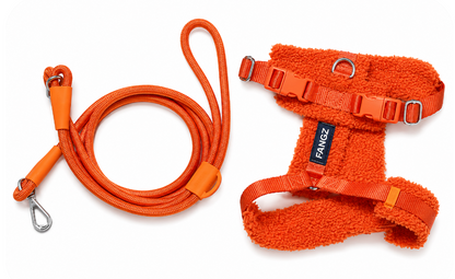 Orange Adjustable No-Pull Dog Harness & Hands-Free Leash Set
