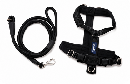 Black Adjustable No-Pull Dog Harness & Hands-Free Leash Set