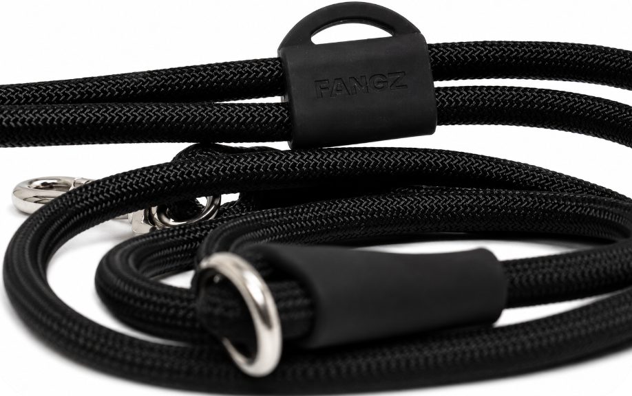 Black Adjustable No-Pull Dog Harness & Hands-Free Leash Set