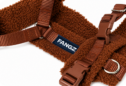 Brown Adjustable No-Pull Dog Harness & Hands-Free Leash Set