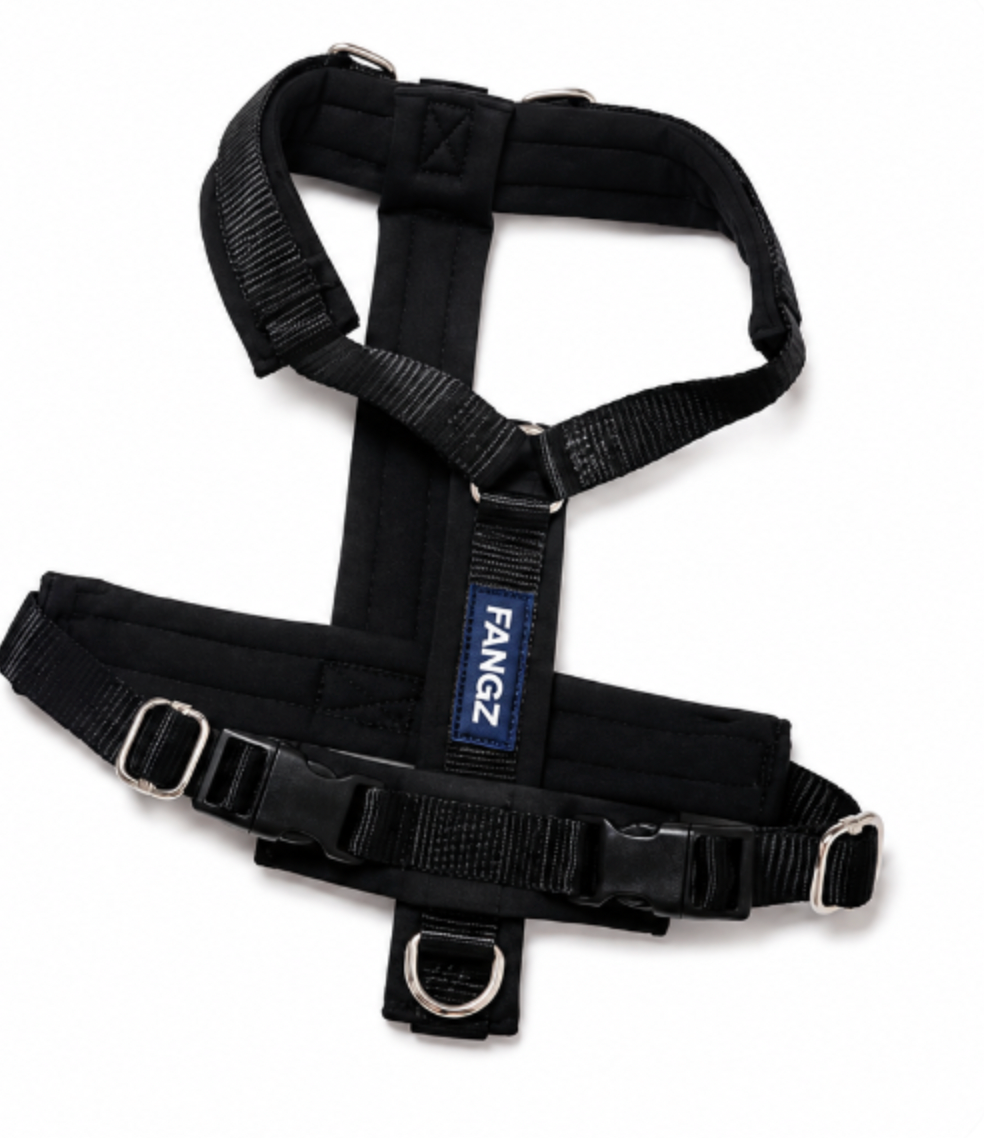 Black Adjustable No-Pull Dog Harness