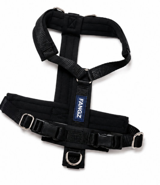 Black Adjustable No-Pull Dog Harness