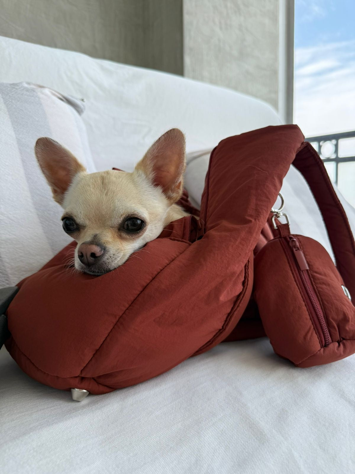 Le Baggy - Brown