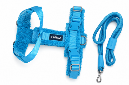 Blue Adjustable No-Pull Dog Harness & Hands-Free Leash Set