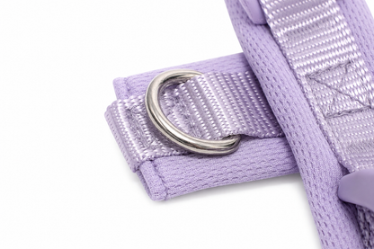Lilac Adjustable No-Pull Dog Harness & Hands-Free Leash Set