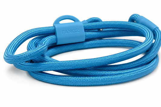 Blue Hands-Free Adjustable Dog Leash