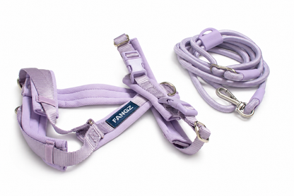 Lilac Adjustable No-Pull Dog Harness & Hands-Free Leash Set