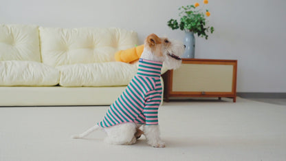 Le Tee Long - Pink & Green