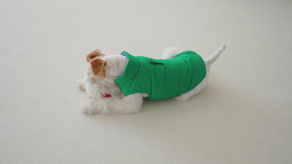 Le Puffer – Blue & Green